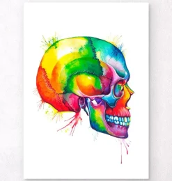 Codex Anatomicus Skull & Skeleton^Skull - Watercolor splash