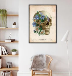 Codex Anatomicus Skull & Skeleton^Skull anatomy - Floral - Vintage