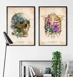 Codex Anatomicus Skull & Skeleton^Skull anatomy - Floral - Vintage