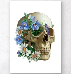 Codex Anatomicus Skull & Skeleton^Skull anatomy - Floral - White