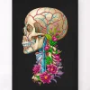 Codex Anatomicus Skull & Skeleton^Skull anatomy II - Floral - Black