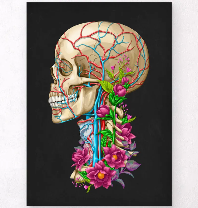 Codex Anatomicus Skull & Skeleton^Skull anatomy II - Floral - Black
