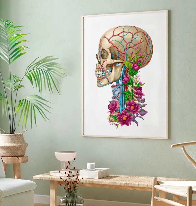 Codex Anatomicus Skull & Skeleton^Skull anatomy II - Floral - White