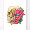 Codex Anatomicus Skull & Skeleton^Skull anatomy III - Floral - White