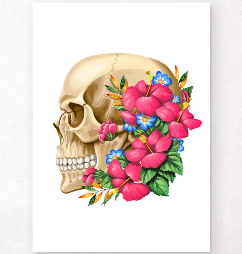 Codex Anatomicus Skull & Skeleton^Skull anatomy III - Floral - White
