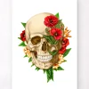 Codex Anatomicus Skull & Skeleton^Skull anatomy IV - Floral - White