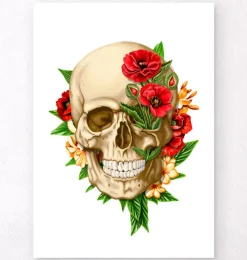 Codex Anatomicus Skull & Skeleton^Skull anatomy IV - Floral - White