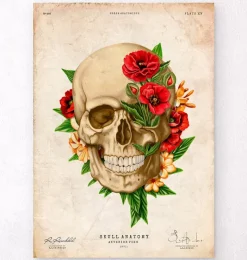 Codex Anatomicus Skull & Skeleton^Skull anatomy IV - Floral - Vintage