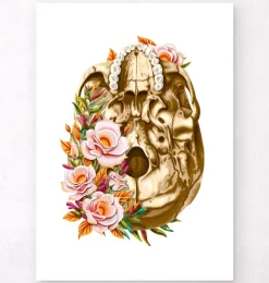Codex Anatomicus Skull & Skeleton^Skull anatomy V - Floral - White