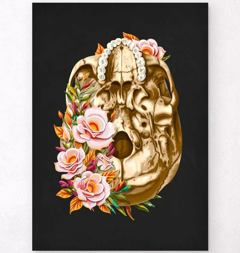 Codex Anatomicus Skull & Skeleton^Skull anatomy V - Floral - Black