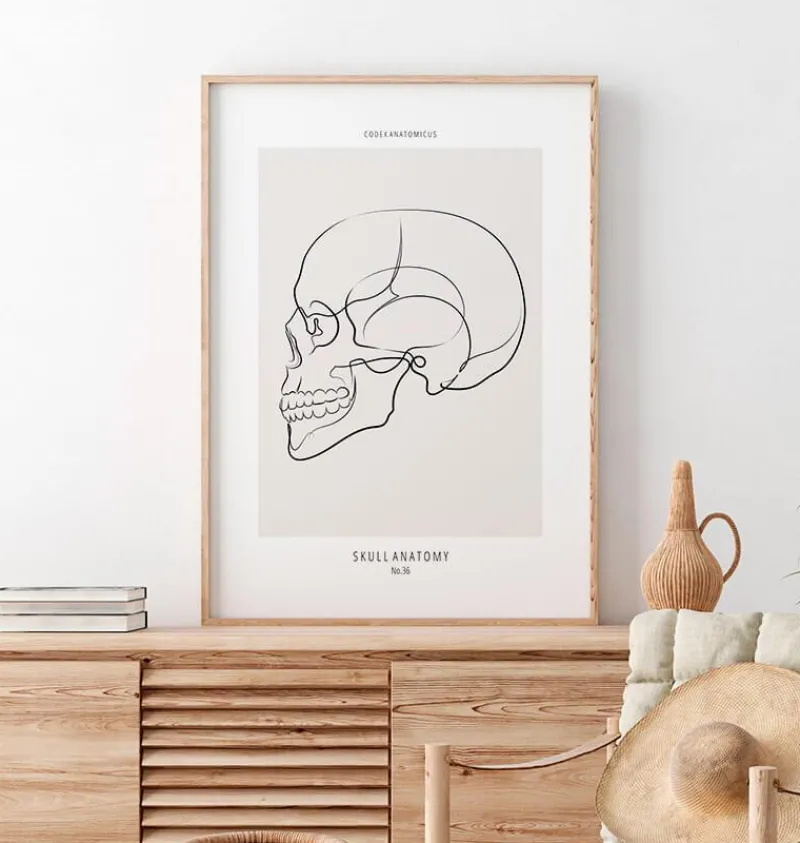 Codex Anatomicus Skull & Skeleton^Skull side view - Line Art