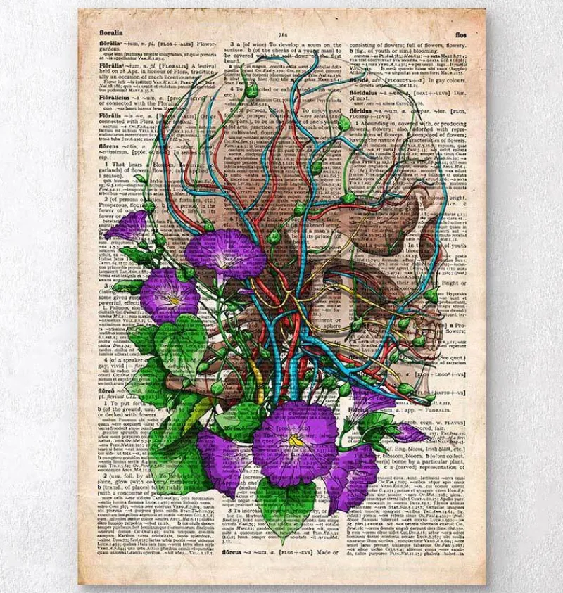Codex Anatomicus Skull & Skeleton^Skull with flowers - Old dictionary page