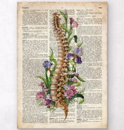 Codex Anatomicus Skull & Skeleton^Spine anatomy - Floral - Old dictionary