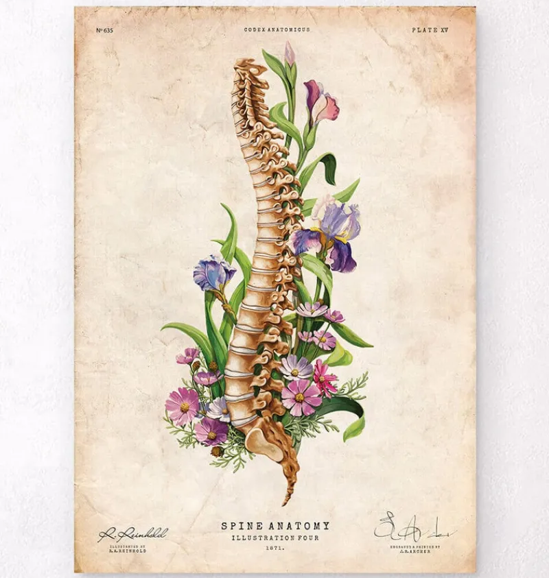Codex Anatomicus Skull & Skeleton^Spine anatomy - Floral - Vintage