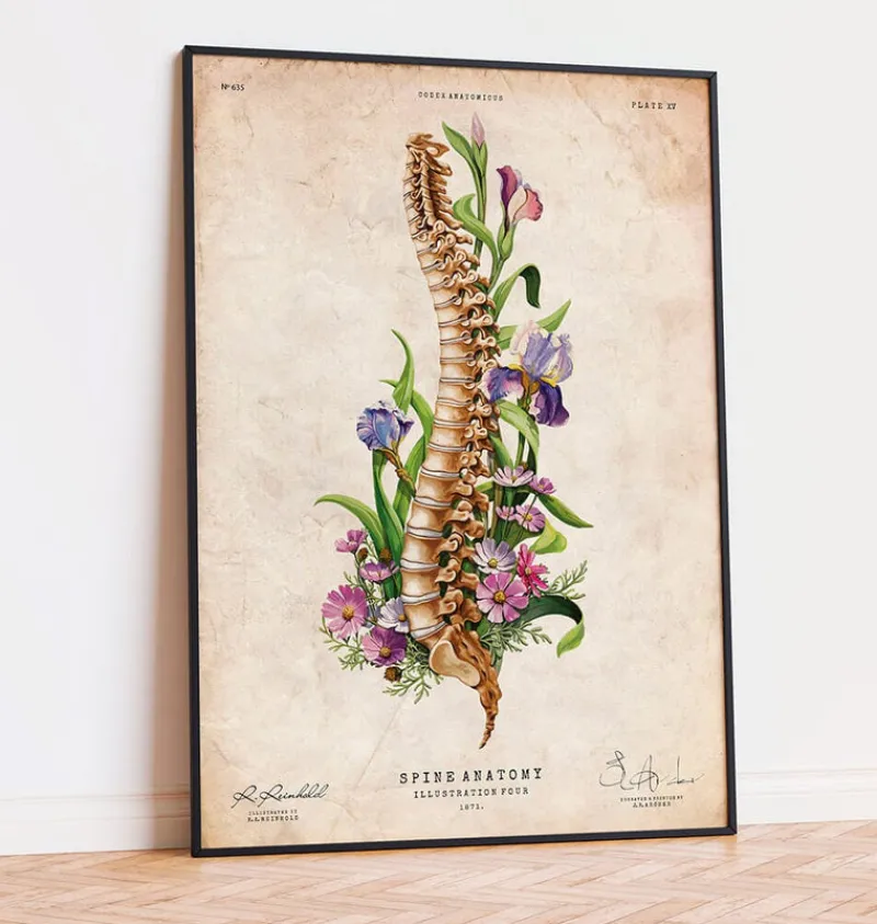 Codex Anatomicus Skull & Skeleton^Spine anatomy - Floral - Vintage