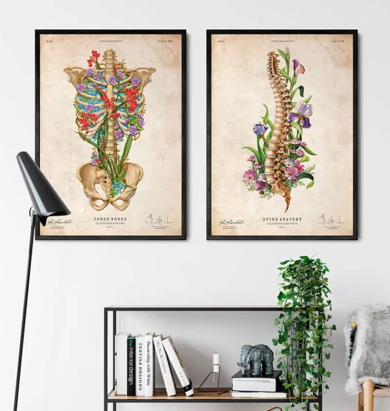 Codex Anatomicus Skull & Skeleton^Spine anatomy - Floral - Vintage