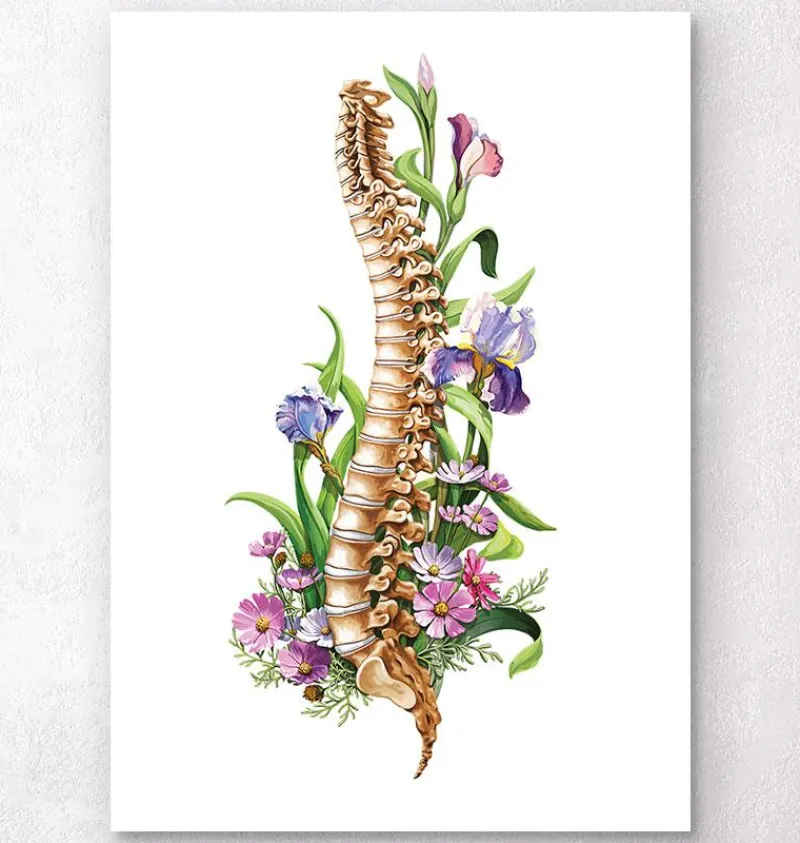 Codex Anatomicus Skull & Skeleton^Spine anatomy - Floral - White