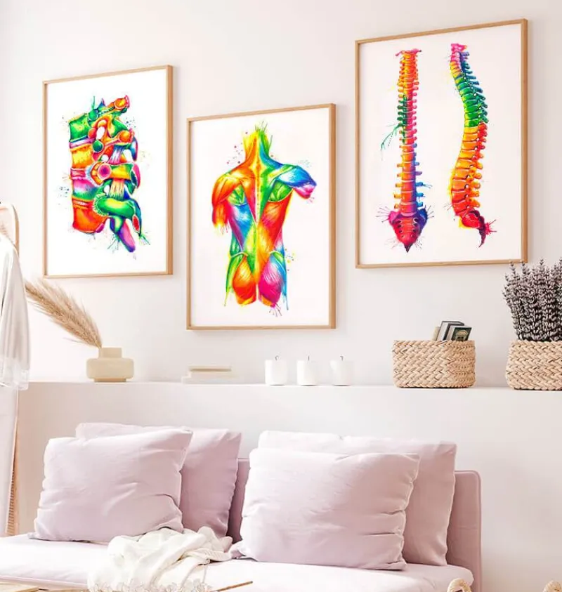 Codex Anatomicus Skull & Skeleton^Spine anatomy - Watercolor splash