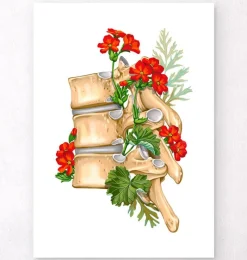 Codex Anatomicus Skull & Skeleton^Spine anatomy II - Floral - White