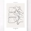 Codex Anatomicus Skull & Skeleton^Spine anatomy II - Line Art
