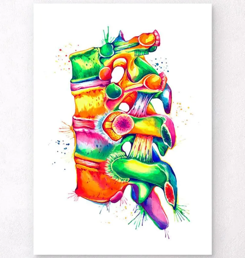 Codex Anatomicus Skull & Skeleton^Spine anatomy II - Watercolor splash