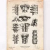 Codex Anatomicus Skull & Skeleton^Spine anatomy poster