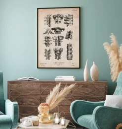 Codex Anatomicus Skull & Skeleton^Spine anatomy poster