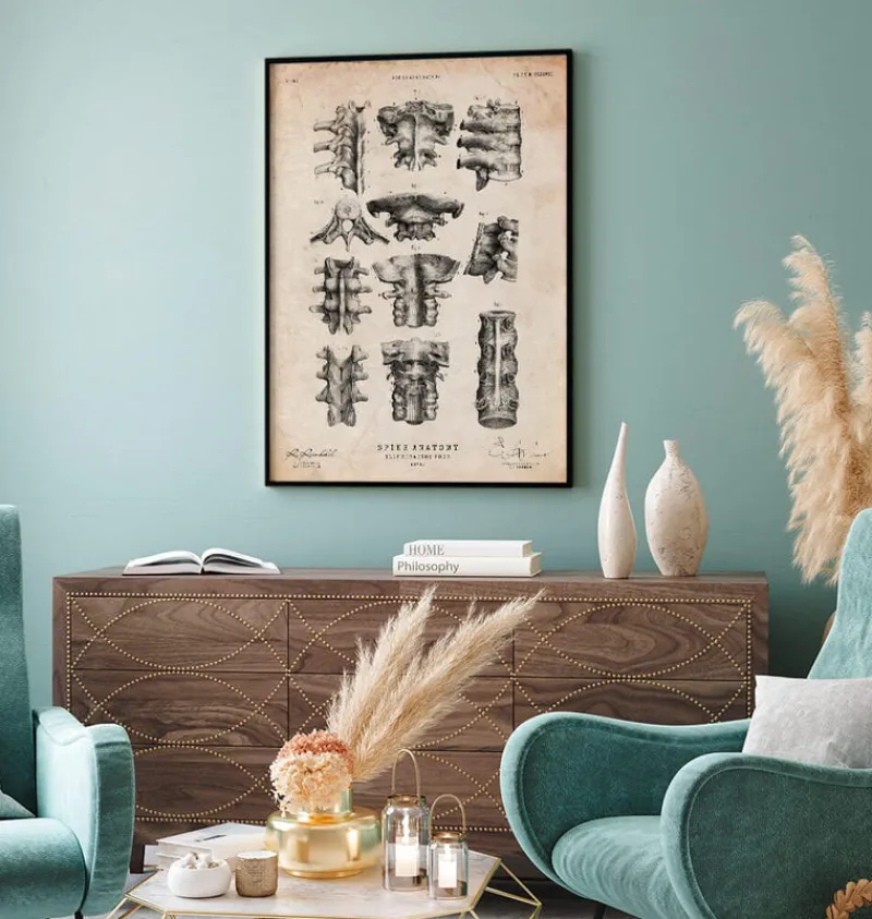Codex Anatomicus Skull & Skeleton^Spine anatomy poster