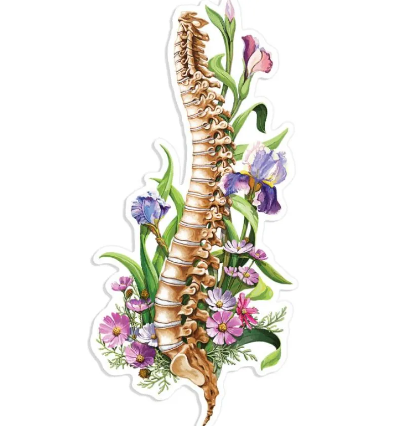 Codex Anatomicus Stickers^Spine anatomy sticker - Floral