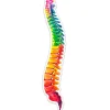 Codex Anatomicus Stickers^Spine anatomy sticker - Watercolor Splash