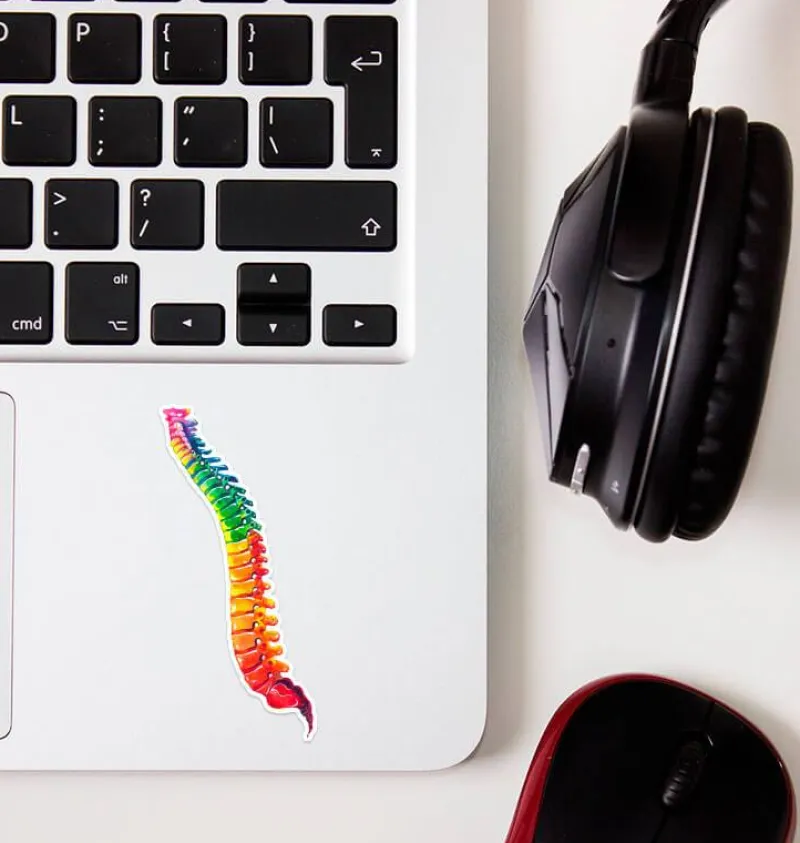 Codex Anatomicus Stickers^Spine anatomy sticker - Watercolor Splash
