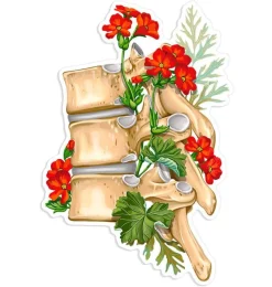 Codex Anatomicus Stickers^Spine anatomy sticker II - Floral