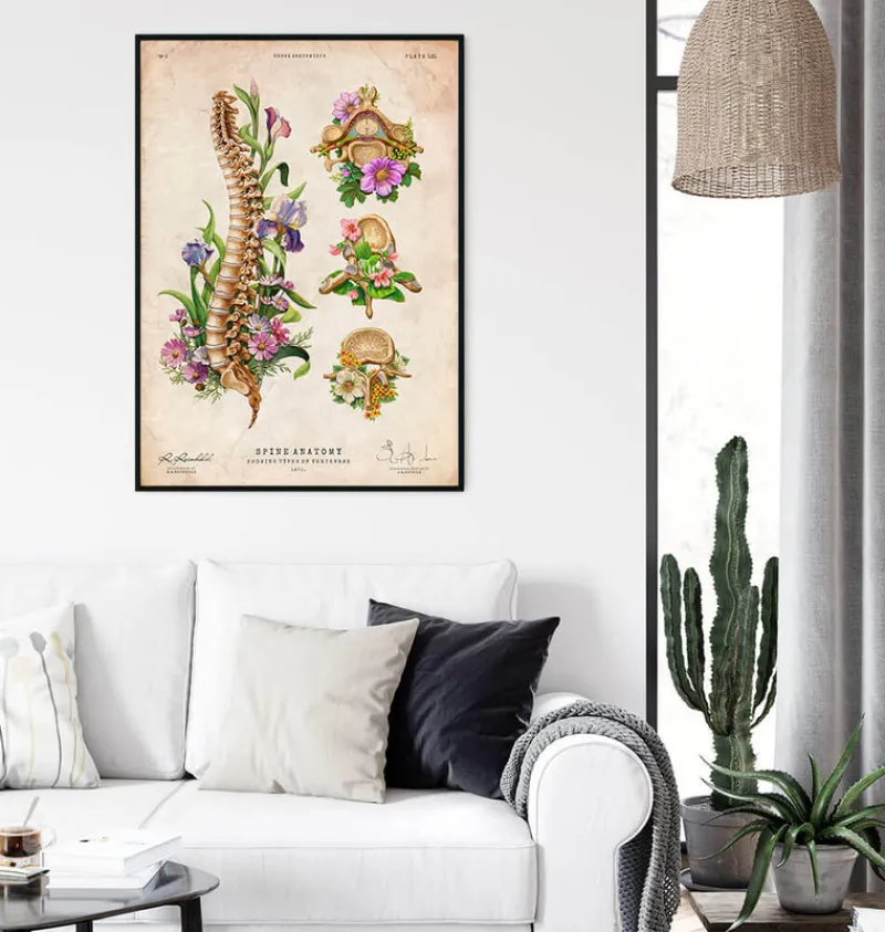 Codex Anatomicus Skull & Skeleton^Spine chart - Floral - Vintage