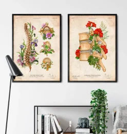 Codex Anatomicus Skull & Skeleton^Spine chart - Floral - Vintage