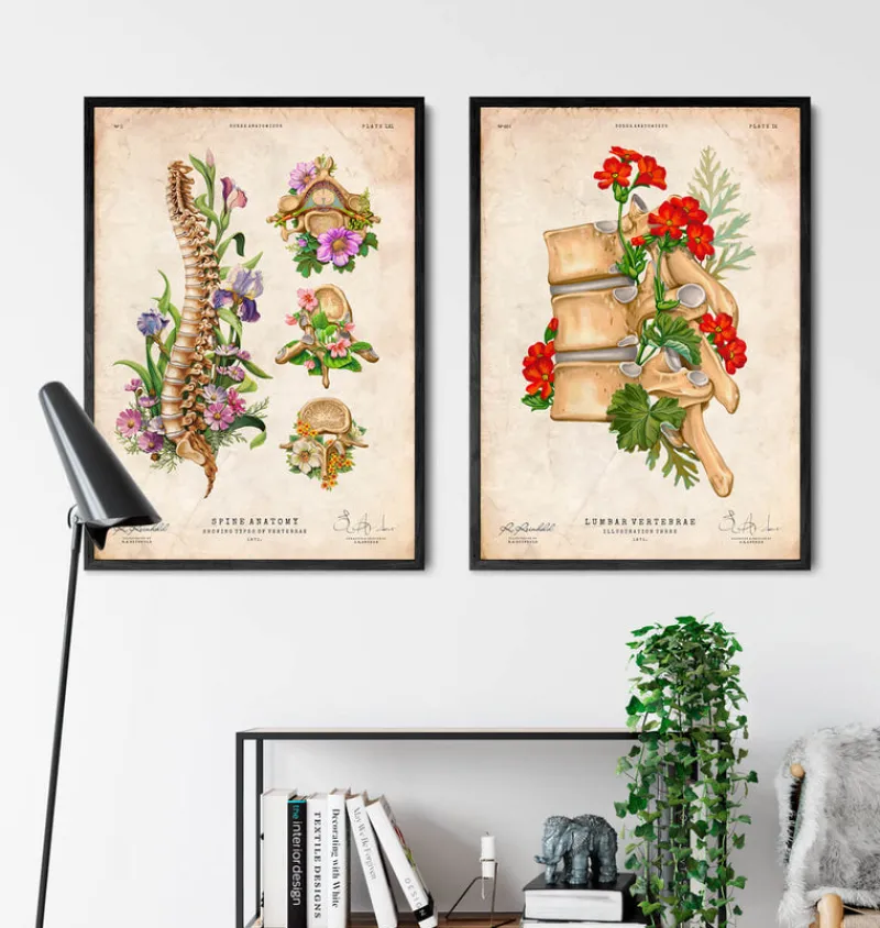Codex Anatomicus Skull & Skeleton^Spine chart - Floral - Vintage