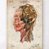 Codex Anatomicus Head & Face^Steampunk brain implant blueprint II