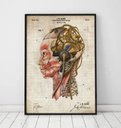Codex Anatomicus Head & Face^Steampunk brain implant blueprint II