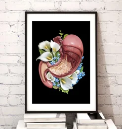 Codex Anatomicus Digestive System^Stomach anatomy - Floral - Black