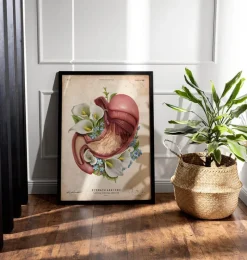 Codex Anatomicus Digestive System^Stomach anatomy - Floral - Vintage