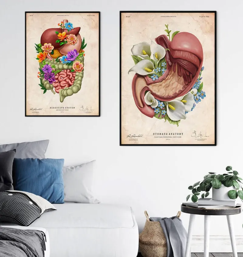 Codex Anatomicus Digestive System^Stomach anatomy - Floral - Vintage