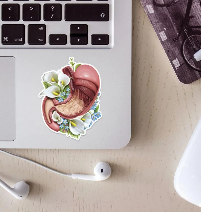 Codex Anatomicus Stickers^Stomach anatomy sticker - Floral