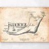 Codex Anatomicus Dental Anatomy^Teeth and jaw bone anatomy print