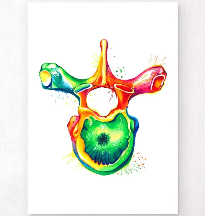 Codex Anatomicus Skull & Skeleton^Thoracic vertebra - Watercolor splash