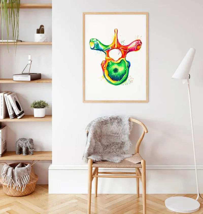 Codex Anatomicus Skull & Skeleton^Thoracic vertebra - Watercolor splash