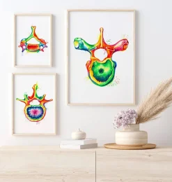 Codex Anatomicus Skull & Skeleton^Thoracic vertebra - Watercolor splash