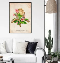 Codex Anatomicus Skull & Skeleton^Thoracic vertebrae - Floral - Vintage