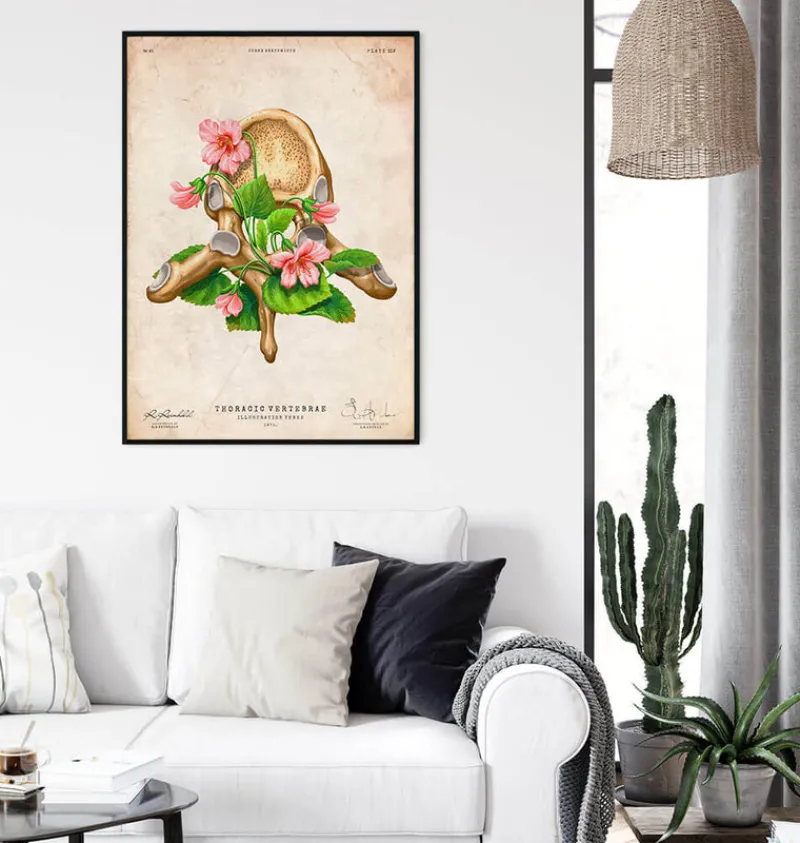 Codex Anatomicus Skull & Skeleton^Thoracic vertebrae - Floral - Vintage