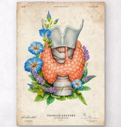 Codex Anatomicus Various Organs^Thyroid anatomy art - Floral - Vintage