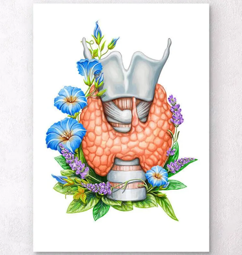 Codex Anatomicus Various Organs^Thyroid anatomy art - Floral - White