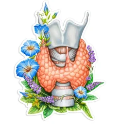 Codex Anatomicus Stickers^Thyroid anatomy sticker - Floral